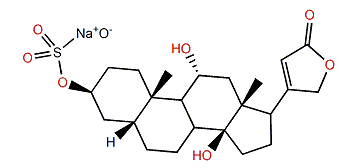 Sarmentogenin 3-sulfate